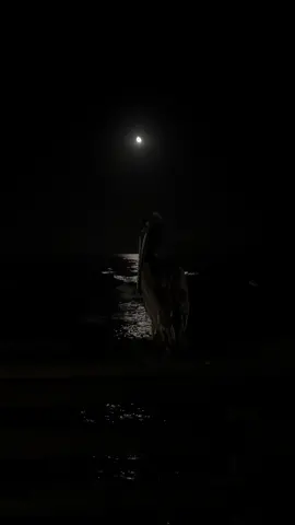 #cas #beach #moonlight #calm #peaceful #night 