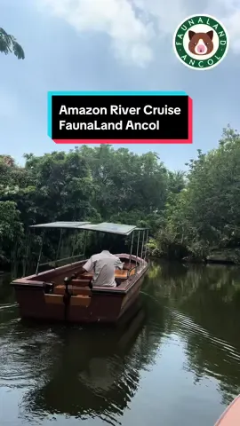 Spill sedikit tentang Amazon river cruise di Faunaland Ancol. Fauna friends jangan lupa untuk naik River Cruise ya🤗 #amazonjakarta #faunalandancol #dufanancol #ancoltamanimpian #ancol 