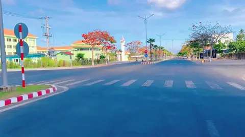 📸 Một góc nhỏ đường Thiên Hộ Dương, Cao Lãnh - Đồng Tháp vào mùa hoa phượng nở  ❤️😘😊#đồngtháp #caolanh #hoaphuongdo #chill #canhdep #mientay #idol #quêtôi #CapCut #xuhuong #trend 🥰🥰🥰