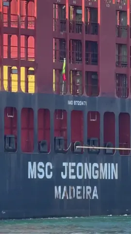 MSC JEONGMIN 📦 #ship #shipping #vessel #spotting 