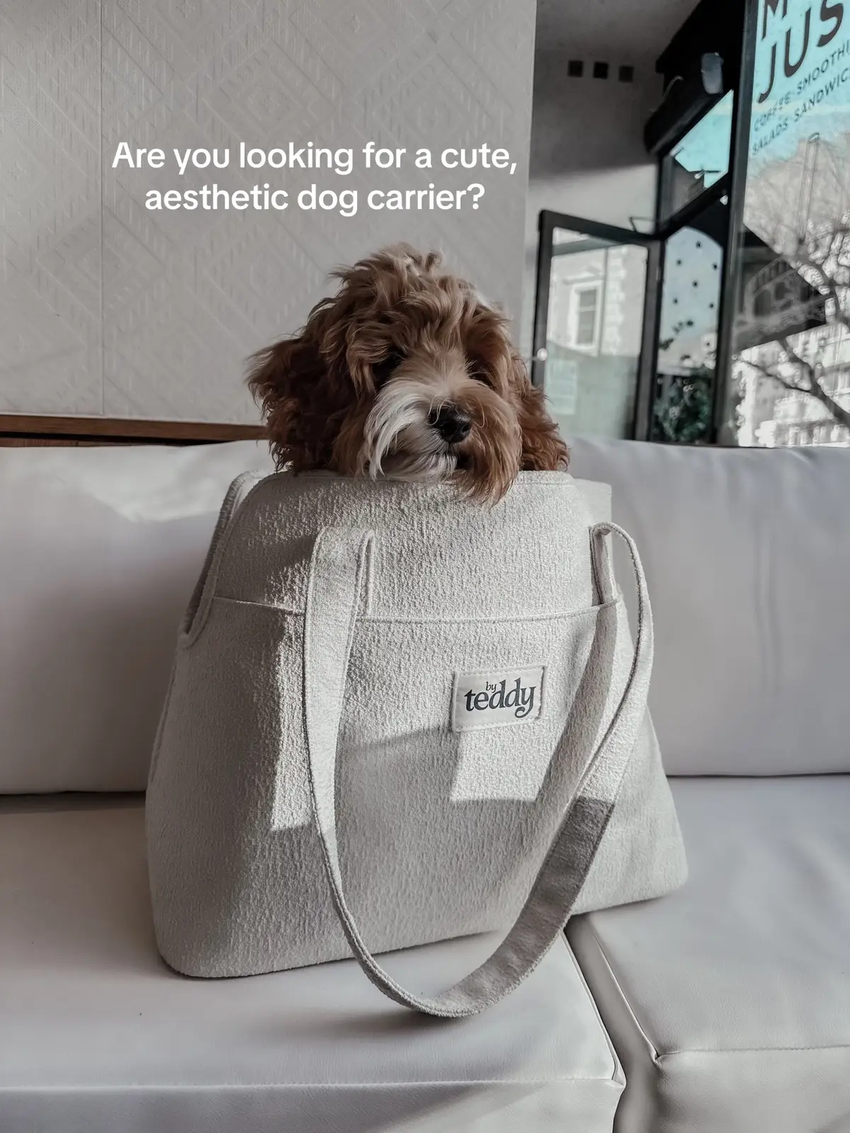 #dog #cutedog #dogbag #dogsoftiktok #puppy #puppylove #dogaccessories 