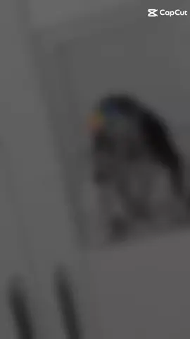 අංජන බාප්පගෙනම් නෙවෙයි හැබැයි 🤭🤭