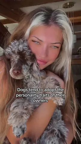 I cant with this trend, Shes been watching mummy too much 😂🏳️‍🌈 #fyp #foryou #wlw #trend #poodle #dogsoftiktok #lesbiansoftiktok #funny #queertiktok #lgbt 