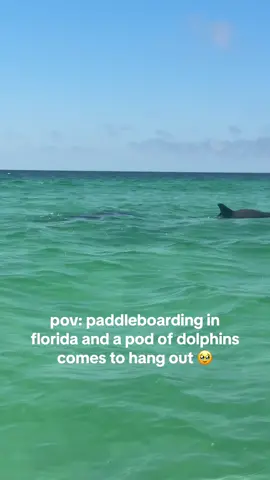 this was truly so humbling I was tearing up😭 there were 9-10 that I could see and they slowed down to come hang out by me and I felt so safe 😭