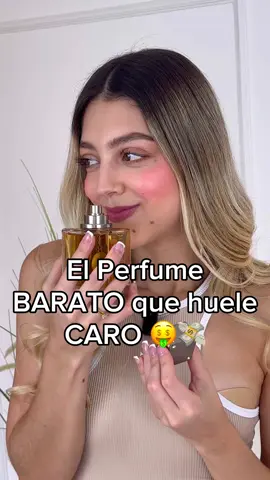 Hombres😎..Este perfume tiene TODOO lo que estás buscando 🤤😍🔥 Aroma exquisito ✅ Excelente Fijación✅ Precio/ Calidad INCREÍBLE 🫢 ✅ Compruébalo tú mismo ‼️🤩 Perfume: Armaf Club de Nuit Man🔥🧨 🛒✨Cómpralo en nuestro sitio web: www.attoperfumes.com.co #perfumecollection #perfumes #perfumesimportados #perfumesmasculinos #envioscolombia #edp #edt #perfumesoriginales #dejahuella