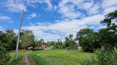 আমার আকাশ জুড়ে ছিল তোমারই রঙের মেলা!🌸 [RAW SKY] #foryoupage #foryou #music #trending #gram #raw #unfreezemyaccount #viralvideo #fahadmozumder37 