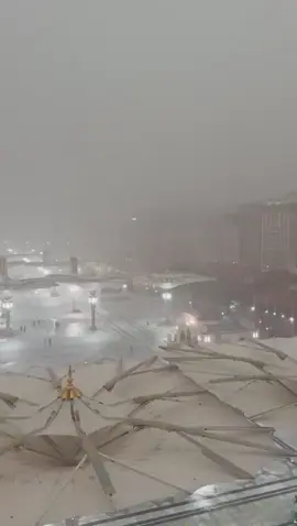 صيبا نافعا غير ضار 🥹☔️🌧 #المدينه_المنوره #fyp #foryou #explore #امطار_المدينه 