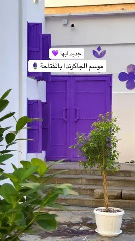 افتتاح موسم الجاكرندا بالمفتاحة 🪻💜 #fyp #4u #explore #كوفيهات_ابها #اماكن_ابها #ترند #موسم_الجاكرندا #جاكرندا #المفتاحة #المفتاحة_ابها #abha #ابها #ابها_الان #اكسبلور 