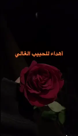 #للحبيب#الغالي #مساء_الحب_والسعاده #السعودية #أكسبلور #الشعب_الصيني_ماله_حل😂😂 