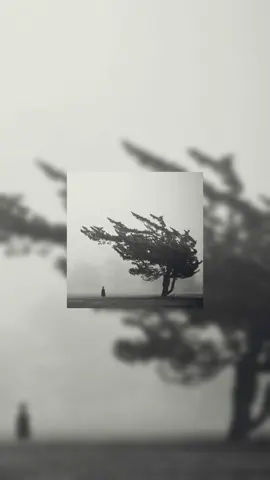 🎧Grouper-Poison Tree (super slowed) (full song).🎧