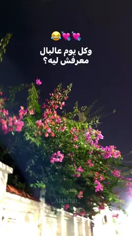 شاغلني من نظرة عينيه😂♥️#foryoupage #fypシ #viral #explore #مشاهير_تيك_توك 