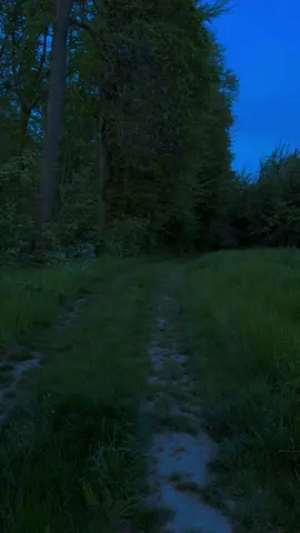 she had blue skin, and so did he. he kept it hid and so did she. they searched for blue their whole life through, then passed right by- and never knew. -Shel Silverstein-                                                                                    #bluehour #bluehouraesthetic #nature #aesthetic #natureaesthetic 