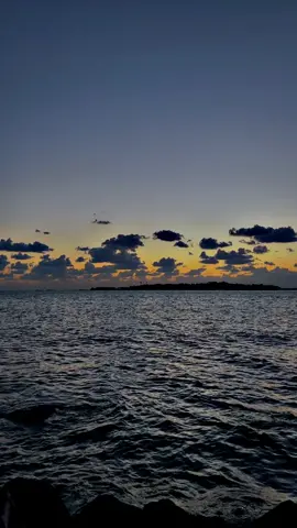 لا تدري من الذي ينجيك 😔# 