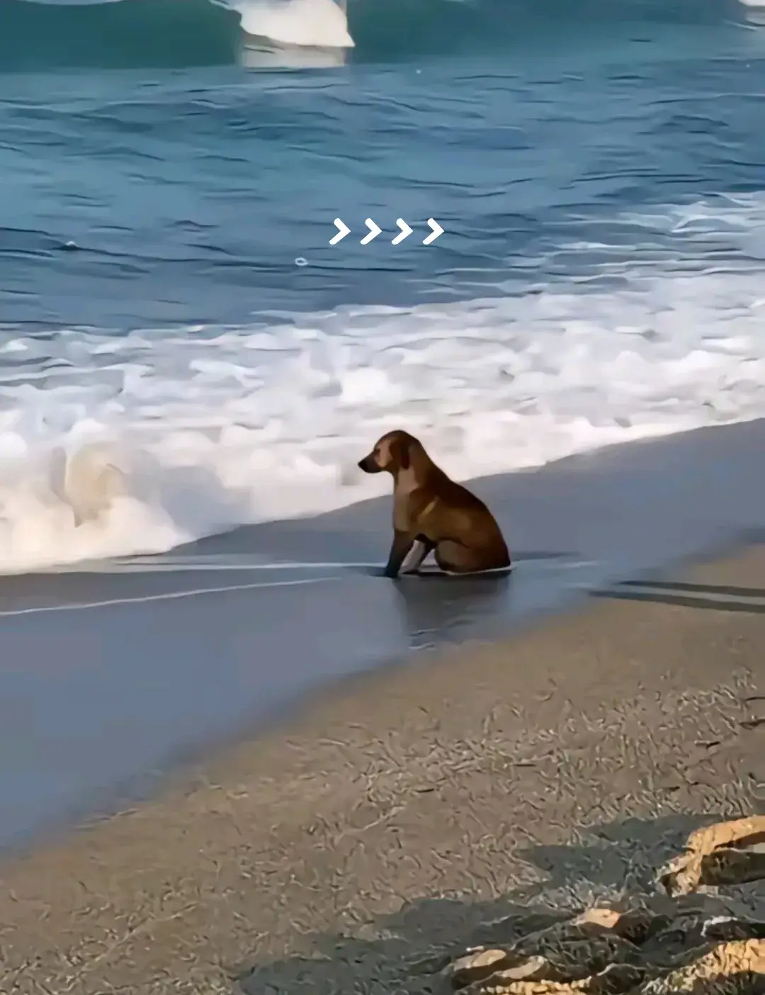 #mama #triste #paratodoelmundo #fyp #sad 