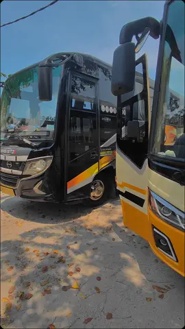 open BO gengs... mumpung agik Ado jadwal yg kosong awal MEI... kontak pusat WA 082181447977  WA +6283151036933 #Gmtrans 