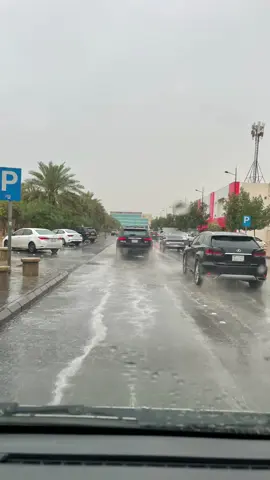 فلاح المسردي هلت سحايبها من الحب هتان #تصميم_فيديوهات🎶🎤🎬 #explore #اكسبلورexplore #ترند #fyp #foryou #foryoupage #السعوديه #fypシ #السعوديه #تصميمي #الشعب_الصيني_ماله_حل😂😂 #مالي_خلق_احط_هاشتاقات 