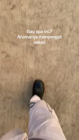 #storykuli  #morowalistory #gajiantelahtiba 