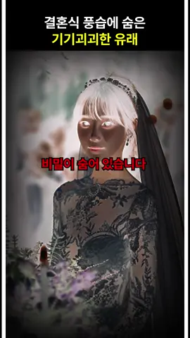 결혼식 풍습에 숨은 기기괴괴한 유래 #공포 #소름 