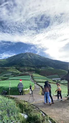 tabarakallah #fyp #negrisayursukomakmur #petanidaunbawang 