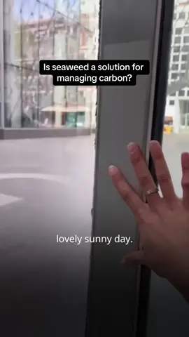Join Bhavya as she explains the role seaweed can play in carbon dixode removal.  #earthday #carbonremoval #climate #climatechange #seaweed #consultant #london #managementconsultant #OliverWyman #dayinthelife #consultantlife #consulting #planetearth #owforsociety 