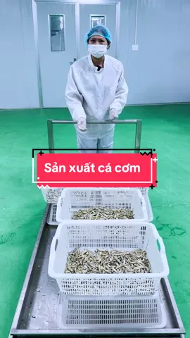 Và đây chính là “QUY TRÌNH SẢN XUẤT CÁ CƠM BÀ TUYẾT” #ancungbatuyet #batuyetdiamonf #cacombatuyet #quytrinhsanxuat #quytrinhsanxuatcacom
