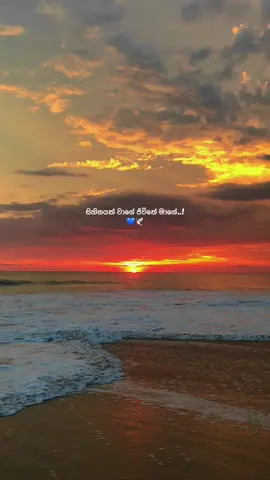සිහිනයක් වාගේ...💙🪐🕊#fyp #foryou #sunset #srilanka #evening 