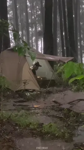 FLOOD INSIDE & OUTSIDE THE TENT IN HEAVY RAIN⛈️  Ps: ini hanya cuplikan, tonton fullnya mulai dari awal berdiriin tenda sampai tidur di  youtube channel “FIKI FAUZI”. Link in bio✌️ #camping #campinginheavyrain  #campingintherain  #campingintherainstorm  #heavyrain  #heavyraincamping  #lighting  #notsolocamping  #rainstorm  #solocamping #tent  #vibeshujan #hujanderas #campinglife #campingvibes #tent #asmr 