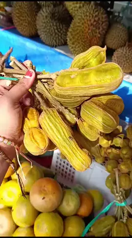 📍Kintamani, Gunung Batur, Bali buah khas dari pulau bali yg ada nya cuma di dataran tinggi bali aja.  namanya buah salju, klo di buka buahnya mirip kapas / es cream putih. 