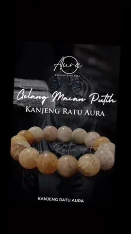 Gelang Khdm Macan Putih - SingoBarong - Kanjeng Ratu Aura#kanjengratuaura #tehaura #auratherapy #raauraskincare #cincinaura #raauraskincare #paranormal #padepokankanjengratuaura 