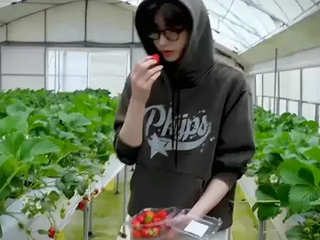 pov: sunghoon is your boyfriend, who picks strawberries for you, grocery shopping with you and cooks for you.  #sunghoon #fyp 