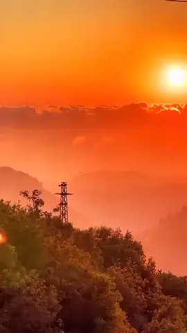 لما جت عينك في عيني .. وابتدى بينهـم كـلام قلتلك مليـون بحبـك .. قلتها من غيـر كـلام طب ماقلتش أي حاجـه .. وأنت سامع كل حاجـه من يوميها يا حبيبـي .. رمشي مش عايز 🎶❤️ @sola  . . . #اصاله_نصري #لما_جت_عينك_في_عيني #اصاله #صولا #صولا_نصري #اصاله_نصري_اكسبلور #اصاله_نصري🤍🕊 #اصاله_نصري🤍🎶 #اغاني #Sing_Oldies #لبنان #الوطن_العربي #تيك_توك #تيك_توك_عرب #متابعه #ليك #page_old_songs 