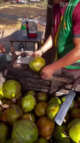 #trend #trenddococo #coco #aguadecoco #viral #foryou #fyp #loja #lojadecalcados #calçados 