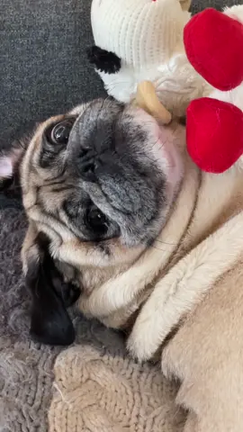 it has been confirmed that the lamby is in fact the threat 