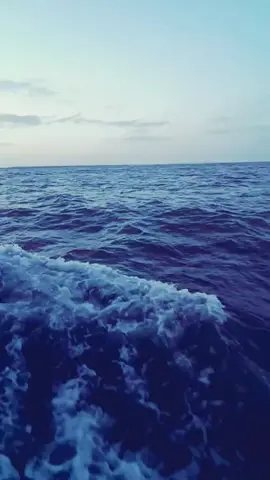 #ليلي_غفران #قالو_الصبر_بحوره_بعيدة 