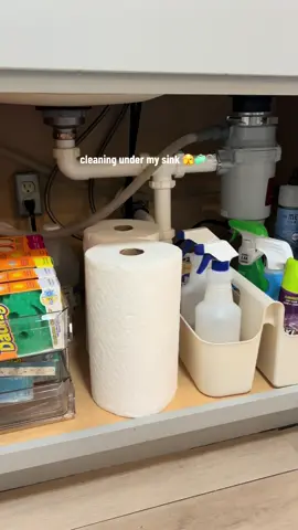 How satisfyinggg #sinkorganization #undersinkorganization #organize #organizing #summercleaning 