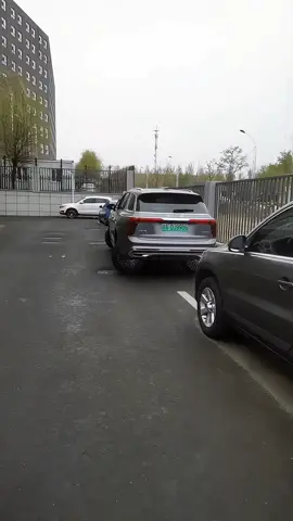 Hongqi turned around and parked sideways #hongqi #chinesecar 