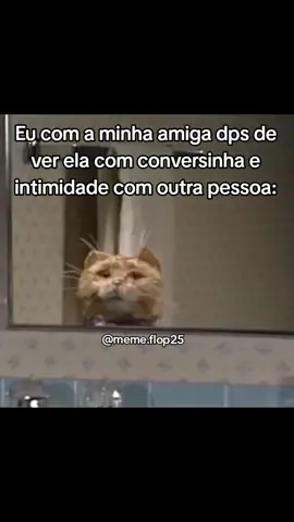 Tá me trocando?? 😠 #fypシ #viral #floptok #memebr #humorbr #frangorobo #gato #trend #amiga #engraçado 