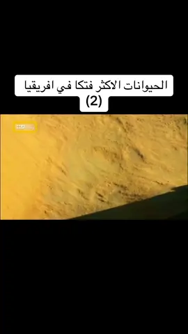 #ناشونال_جيوغرافيك #الحيوانات #المفترسة #foryou #fypシ #viral #family 