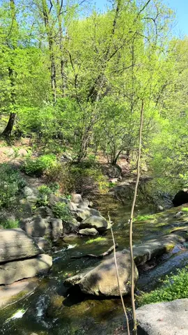 I had been watching the weather in anticipation for a day off to bike ride in the park & wander the city & Monday WAS the day! #nature #centralparknyc #sunshine #bike #lisaann #thereallisaann #bikeride #nyc #city 