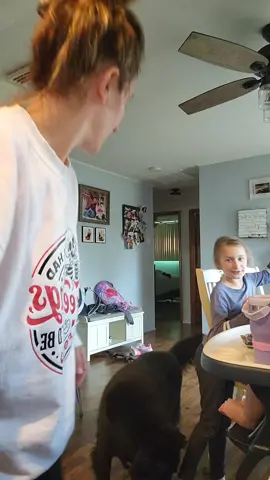 on trend haha  could NOT lift him and scared the bajesus out of it in the process  #fypシ #fyp #momlife #momtok #MomsofTikTok #humortiktok #kidtok #PetsOfTikTok #chonkyboi #johnnycash #trending