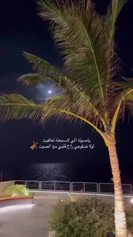 #احب انا شوفك وصوتك وطاريك#fypシ゚viral #🎻