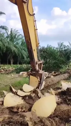 気分が良い🙆　#asmr #satifying #amazing #fruit #fyp 