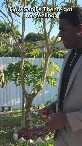 sanji best one piece character fr #fyp #anime #onepiece 