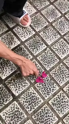 #toiletcleaner #pembersihkerak #pembersihwc #cairanpembersih #pembersihserbaguna #bersihbersih 