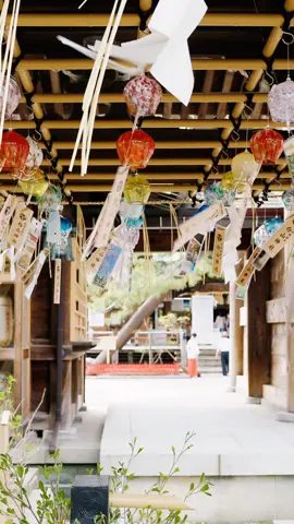 新潟投稿⑦新潟市中央区の新潟総鎮守白山神社投稿③手水舎です。 #新潟  #新潟市   #白山神社    #手水舎    #歴史 #風鈴   #春風 #神社  #japantiktok #japan  #japaneseculture #japanese  #shrine   #History #shinto   #日本 #日本遊 #日本旅遊  #일본 #일본투어 #일본관광  #nhậtbản #dulịchnhậtbản 