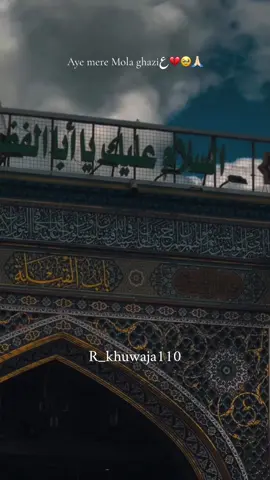 Ay mere mola Ghazi Abbas almdarع🙏🏻#babulhawaij #babulhawaijع #foryou #yaghaziabbasalamdarع #yaabbasع #r_khuwaja110 #karbala_karbala #dua 