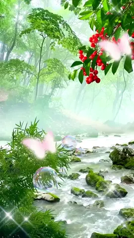 Capcut#CapCut chúc cả nhà buổi tối vui vẻ, bình an và hạnh phúc. Chúc ngủ ngon#xuhuong #xuhuongtiktok2024 #giaitri #giaitritiktok #nhachaymoingay #chaobuoitoi 