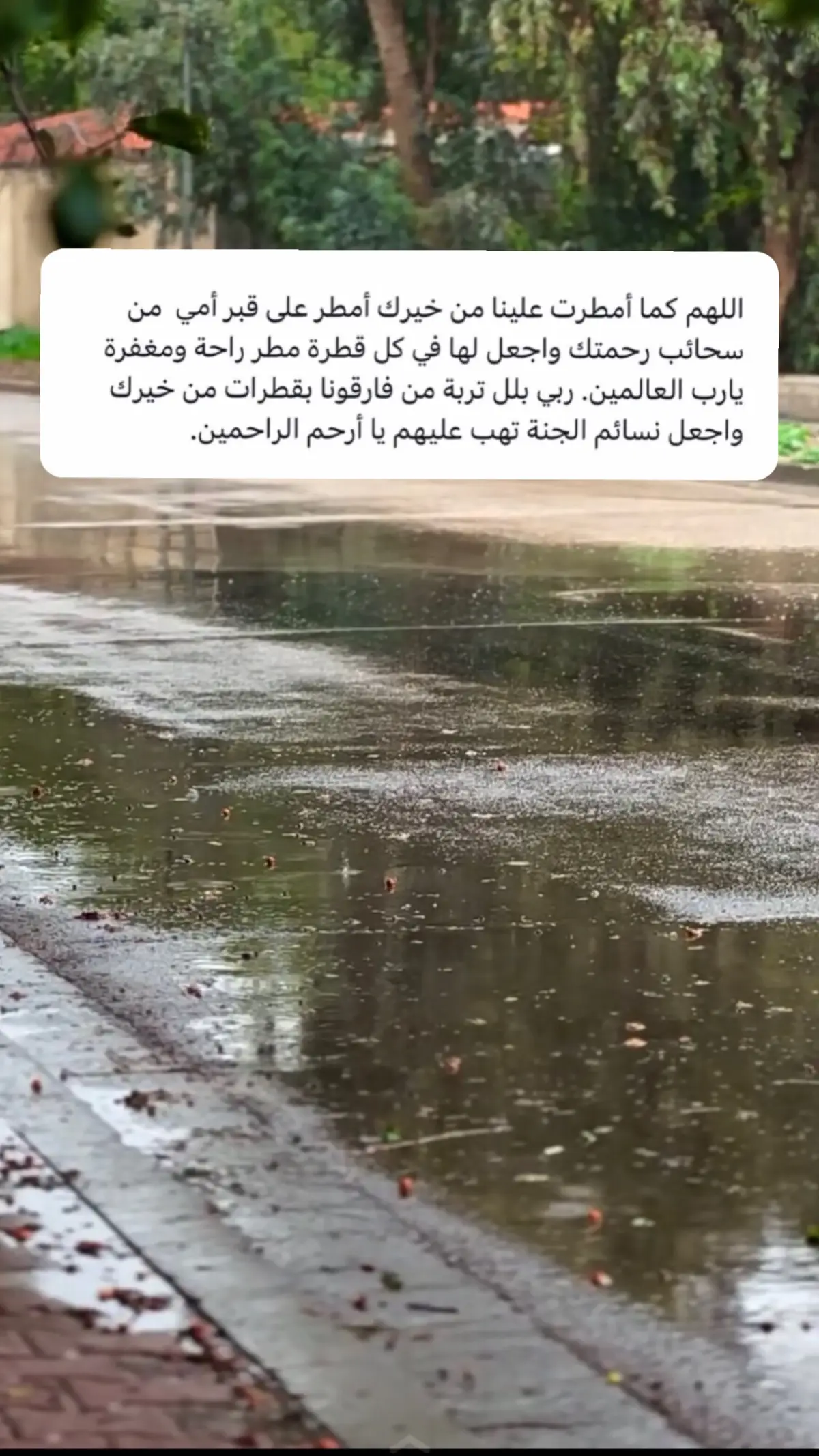 #امطار #امطاراليوم #أمي #امي #قبور #علينا #خير #من #سحاب #رحمتك #قطرة #راحة #مغفرة #تربة #قطرات #نسائم #الجنة #رحمة 