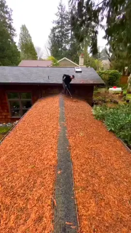 Satisfying Gardening Work 🤩🍀 #garden #gardening #oddlysatisfying #cleaningtok #viral #cleaning #asmr 