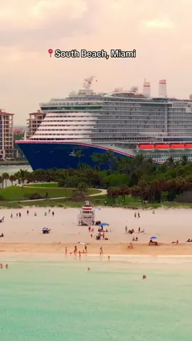 Miami has it all! 🚢🏝️😍 #cruises #carnivalcelebration #miami #cruiselife #carnival #cruisetok 